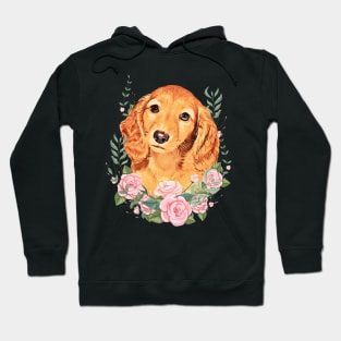 Long Haired Dachshund With Floral Hoodie